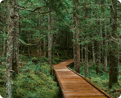 Тайная тропа