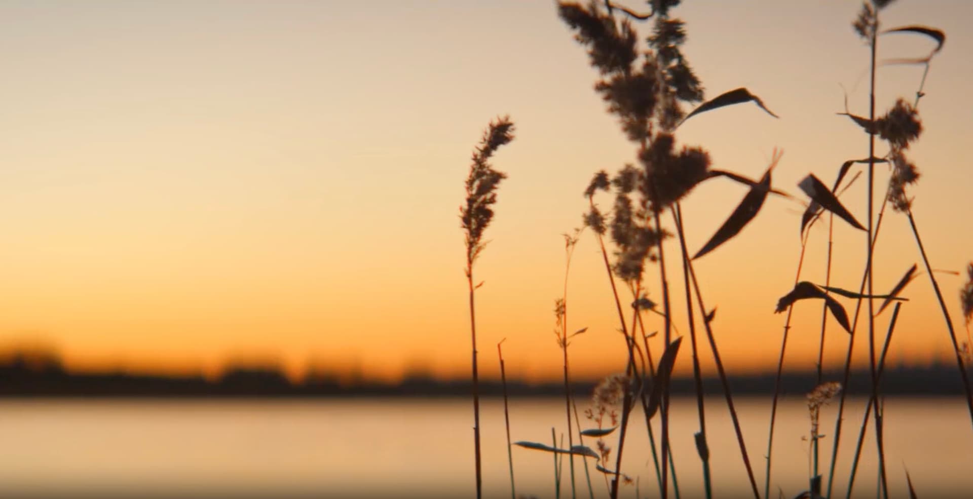 Изображение проекта 